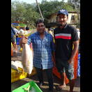 und stolzen Händlern